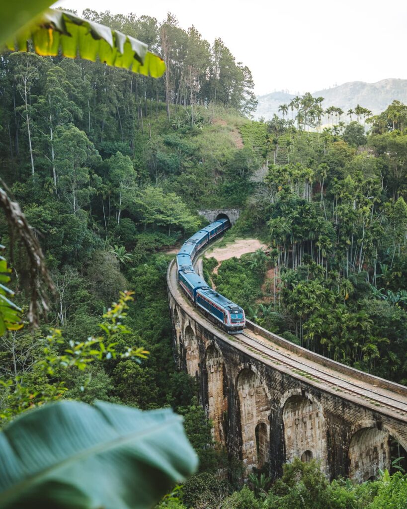 Ella Highlands & Tea Trails